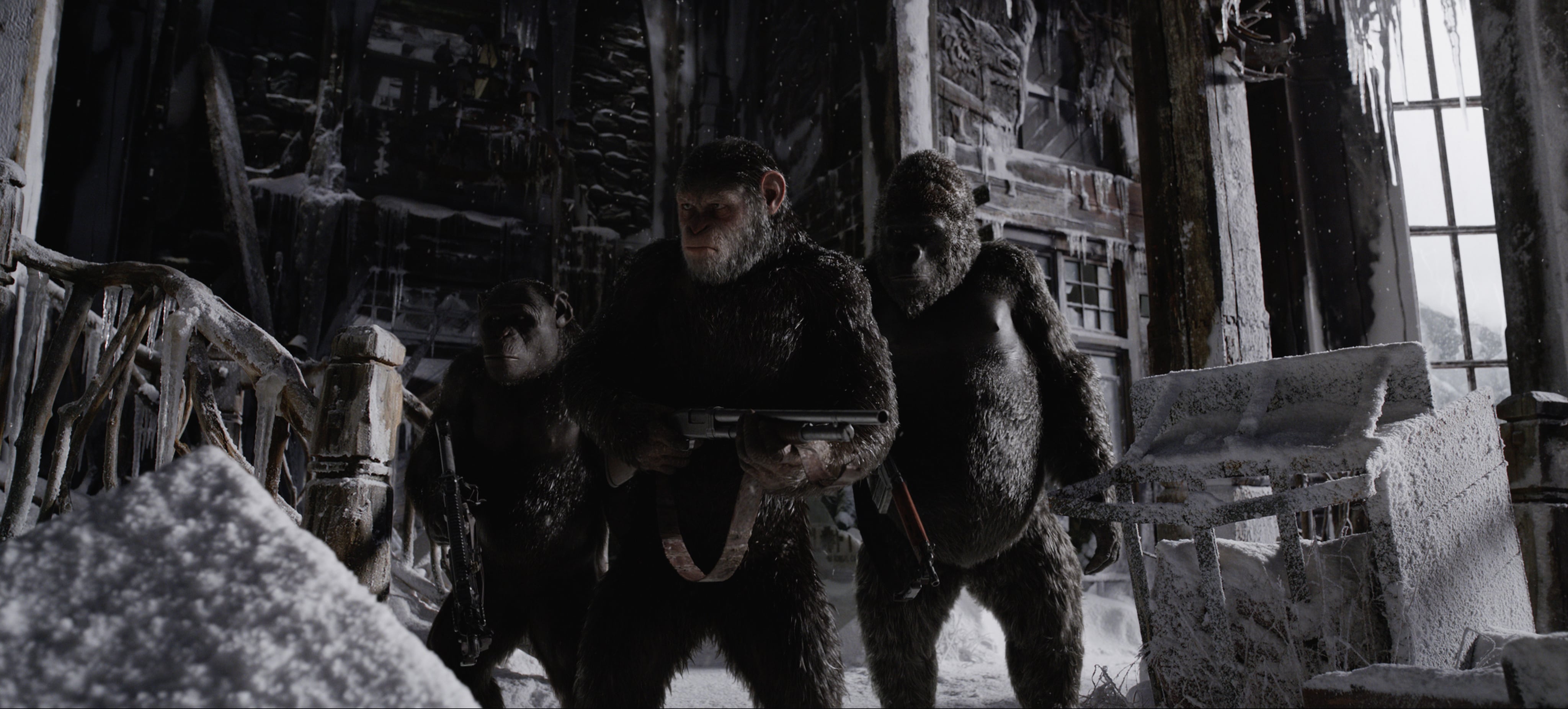 Apes with guns. Cool.
